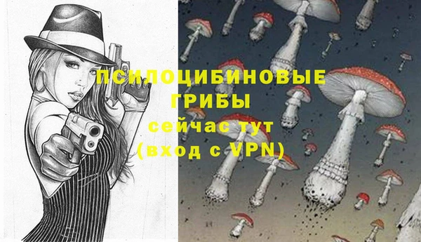 гашик Абинск