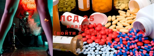 гашик Абинск